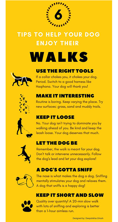 tips enjoy walks